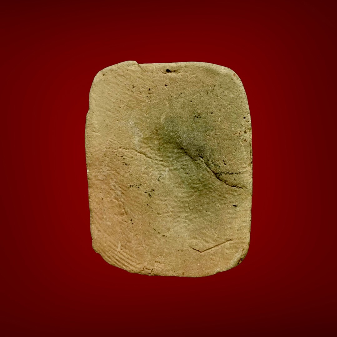 S__5152811