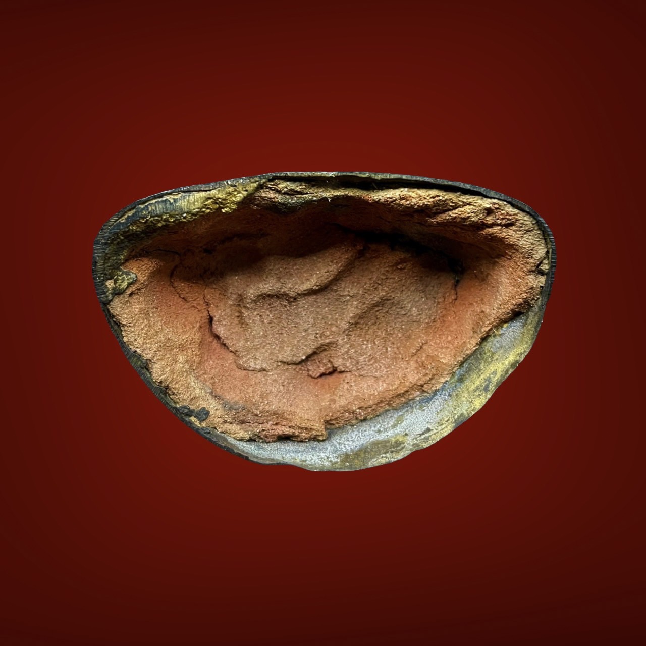 S__4947997